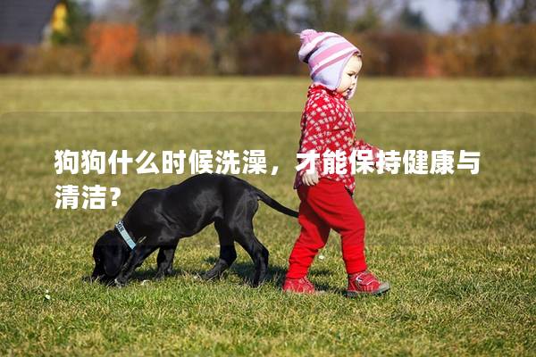狗狗什么时候洗澡，才能保持健康与清洁？