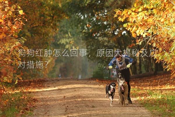 狗狗红肿怎么回事，原因大揭秘及应对措施？