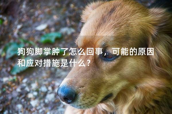 狗狗脚掌肿了怎么回事，可能的原因和应对措施是什么？
