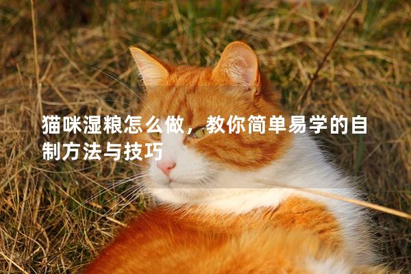 猫咪湿粮怎么做，教你简单易学的自制方法与技巧
