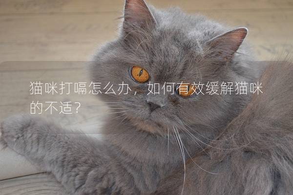 猫咪打嗝怎么办，如何有效缓解猫咪的不适？