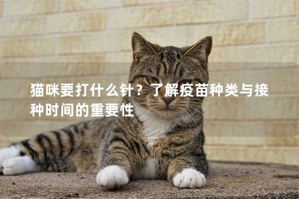 猫咪要打什么针？了解疫苗种类与接种时间的重要性