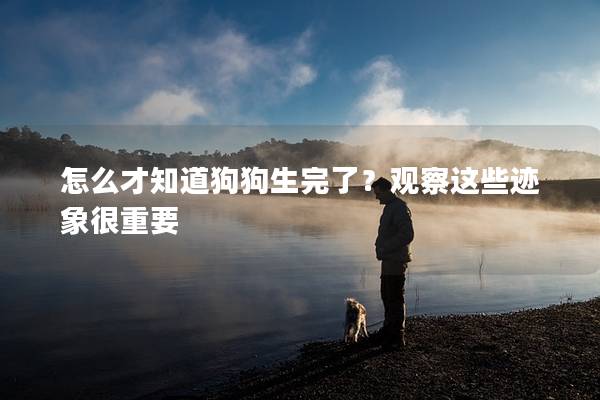 怎么才知道狗狗生完了？观察这些迹象很重要