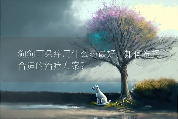 狗狗耳朵痒用什么药最好，如何选择合适的治疗方案？