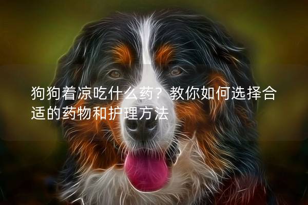 狗狗着凉吃什么药？教你如何选择合适的药物和护理方法
