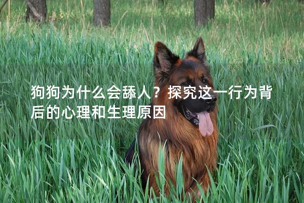 狗狗为什么会舔人？探究这一行为背后的心理和生理原因
