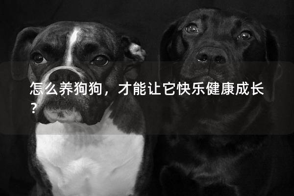 怎么养狗狗，才能让它快乐健康成长？