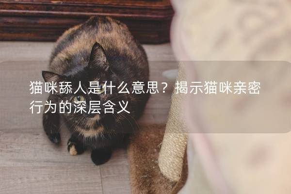 猫咪舔人是什么意思？揭示猫咪亲密行为的深层含义