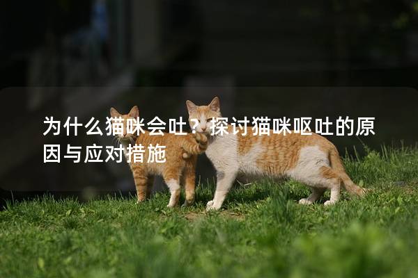 为什么猫咪会吐？探讨猫咪呕吐的原因与应对措施