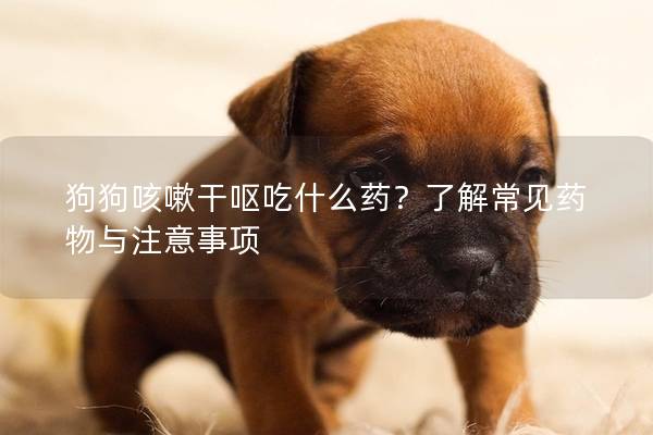 狗狗咳嗽干呕吃什么药？了解常见药物与注意事项