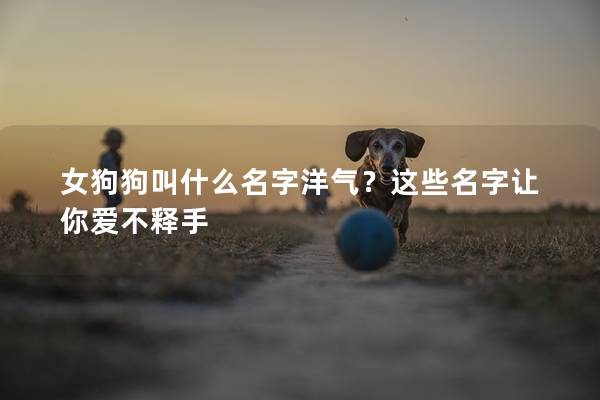 女狗狗叫什么名字洋气？这些名字让你爱不释手