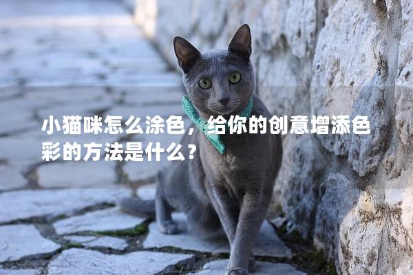 小猫咪怎么涂色，给你的创意增添色彩的方法是什么？
