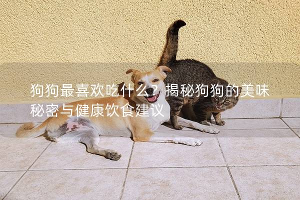狗狗最喜欢吃什么？揭秘狗狗的美味秘密与健康饮食建议
