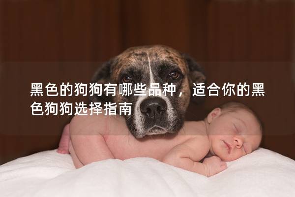 黑色的狗狗有哪些品种，适合你的黑色狗狗选择指南