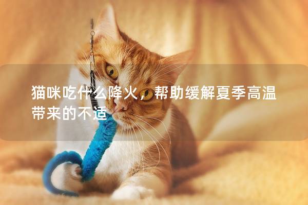 猫咪吃什么降火，帮助缓解夏季高温带来的不适