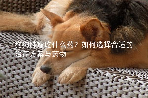 狗狗肿瘤吃什么药？如何选择合适的治疗方案与药物
