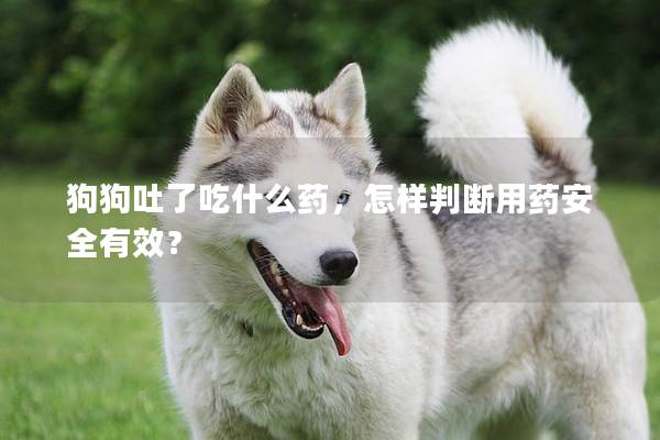 狗狗吐了吃什么药，怎样判断用药安全有效？
