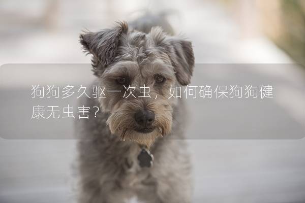 狗狗多久驱一次虫，如何确保狗狗健康无虫害？