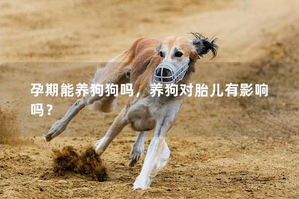 孕期能养狗狗吗，养狗对胎儿有影响吗？