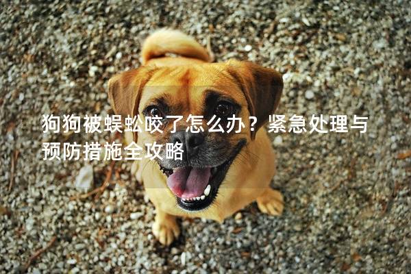 狗狗被蜈蚣咬了怎么办？紧急处理与预防措施全攻略