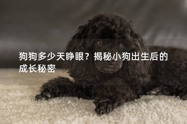 狗狗多少天睁眼？揭秘小狗出生后的成长秘密