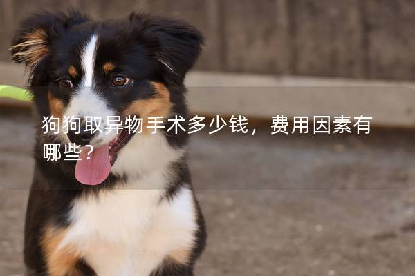 狗狗取异物手术多少钱，费用因素有哪些？
