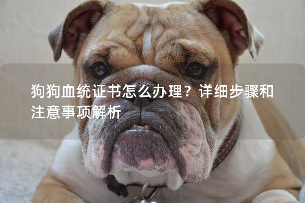 狗狗血统证书怎么办理？详细步骤和注意事项解析