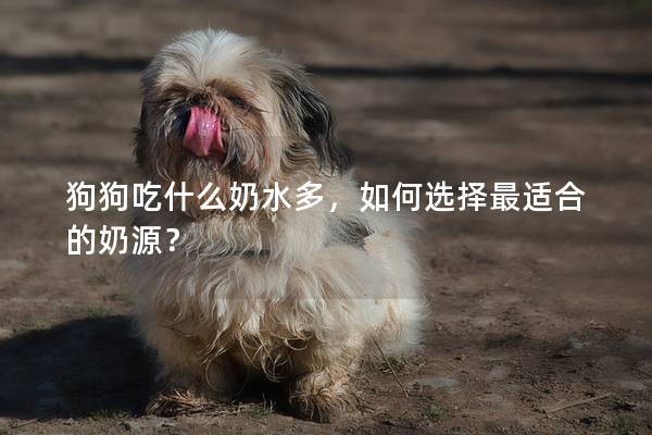 狗狗吃什么奶水多，如何选择最适合的奶源？