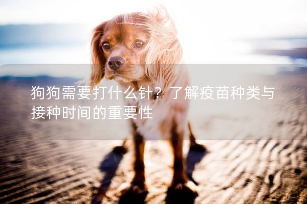 狗狗需要打什么针？了解疫苗种类与接种时间的重要性