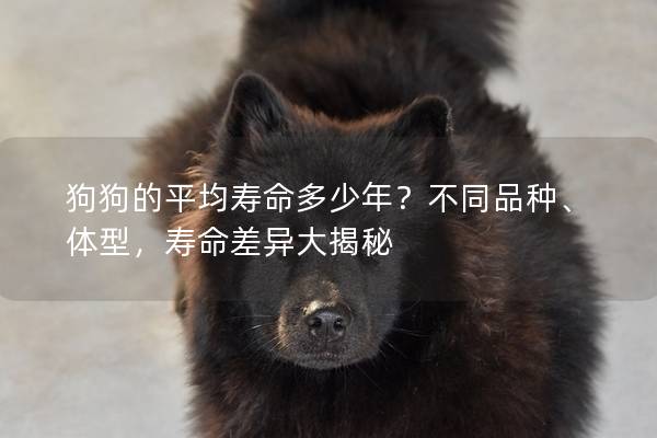 狗狗的平均寿命多少年？不同品种、体型，寿命差异大揭秘