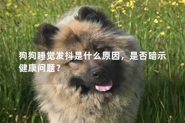 狗狗睡觉发抖是什么原因，是否暗示健康问题？