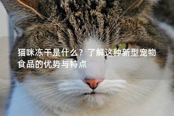 猫咪冻干是什么？了解这种新型宠物食品的优势与特点