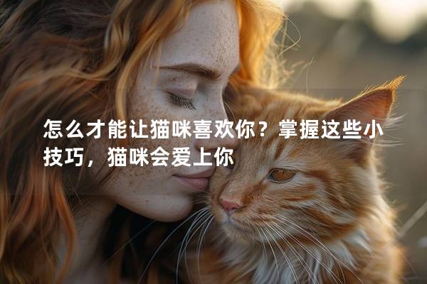 怎么才能让猫咪喜欢你？掌握这些小技巧，猫咪会爱上你