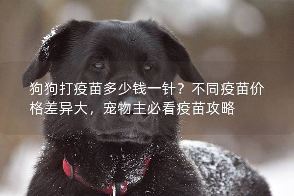 狗狗打疫苗多少钱一针？不同疫苗价格差异大，宠物主必看疫苗攻略
