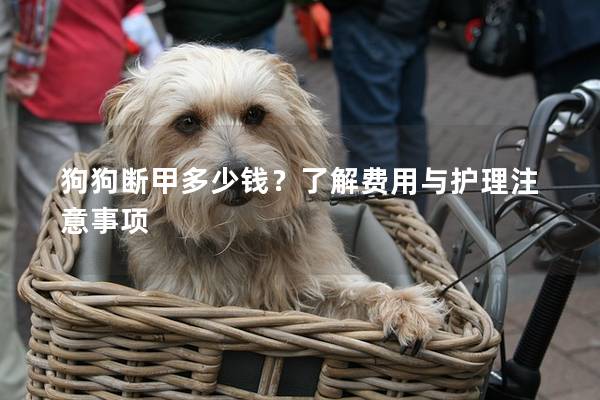 狗狗断甲多少钱？了解费用与护理注意事项