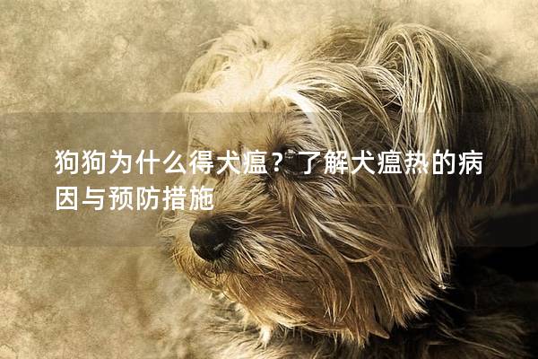 狗狗为什么得犬瘟？了解犬瘟热的病因与预防措施
