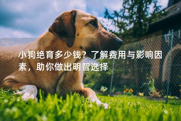 小狗绝育多少钱？了解费用与影响因素，助你做出明智选择