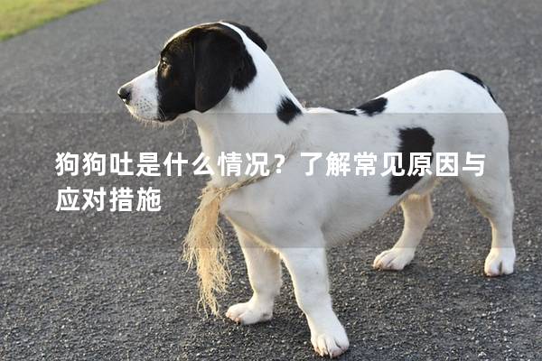 狗狗吐是什么情况？了解常见原因与应对措施