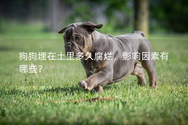 狗狗埋在土里多久腐烂，影响因素有哪些？
