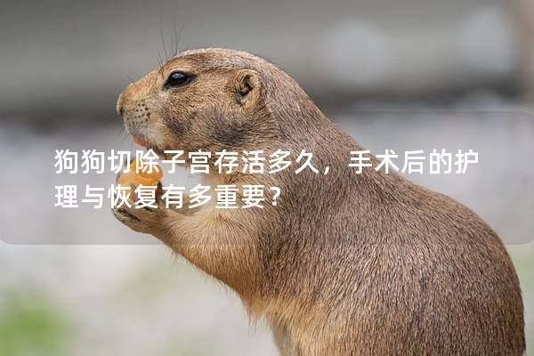 狗狗切除子宫存活多久，手术后的护理与恢复有多重要？