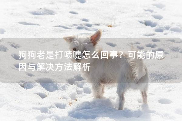 狗狗老是打喷嚏怎么回事？可能的原因与解决方法解析