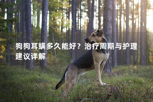 狗狗耳螨多久能好？治疗周期与护理建议详解