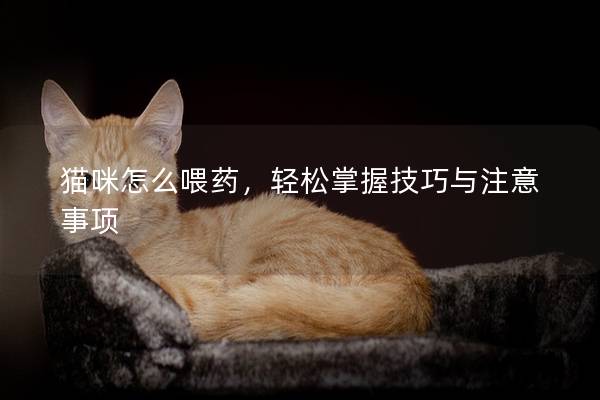 猫咪怎么喂药，轻松掌握技巧与注意事项