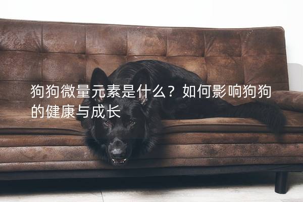 狗狗微量元素是什么？如何影响狗狗的健康与成长