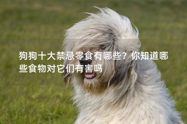 狗狗十大禁忌零食有哪些？你知道哪些食物对它们有害吗