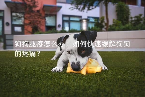 狗狗腿疼怎么办，如何快速缓解狗狗的疼痛？