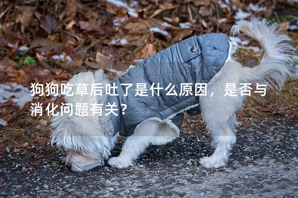 狗狗吃草后吐了是什么原因，是否与消化问题有关？
