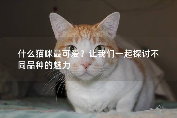 什么猫咪最可爱？让我们一起探讨不同品种的魅力