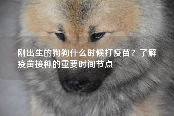 刚出生的狗狗什么时候打疫苗？了解疫苗接种的重要时间节点