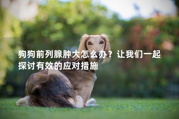 狗狗前列腺肿大怎么办？让我们一起探讨有效的应对措施